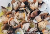 arrosseria andorra marisco 31.jpg